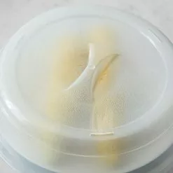 Food Network™ Microwave Splatter Cover 8 Food Network™ Microwave Splatter Cover -Food Network Shop unnamed file 597