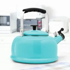 Food Network™ Rosie Whistling Tea Kettle Aqua 9 Food Network™ Rosie Whistling Tea Kettle Aqua -Food Network Shop unnamed file 867